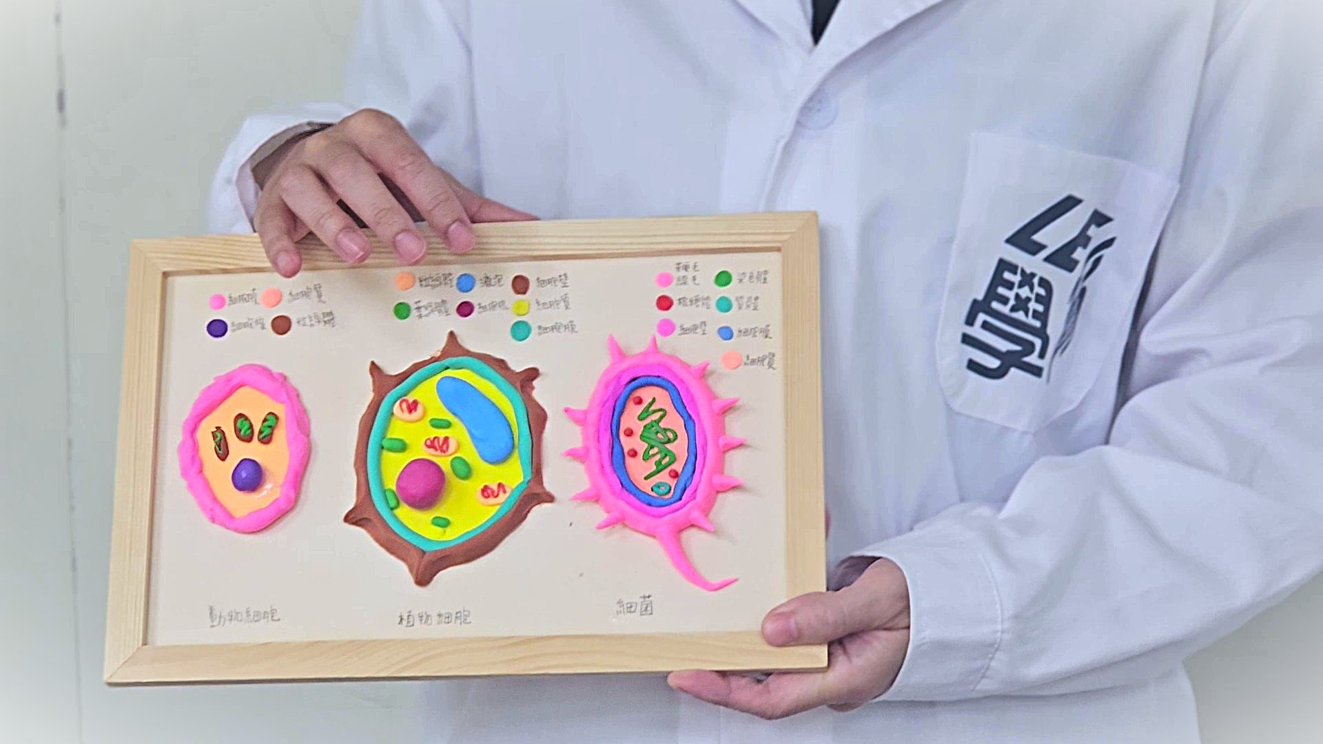 生物實驗營